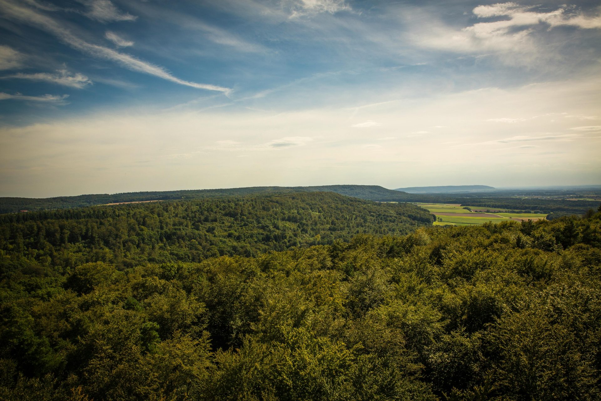 Malerische Luftaufnahme eines üppig grünen Waldes und sanfter Hügel unter strahlend blauem Himmel.
