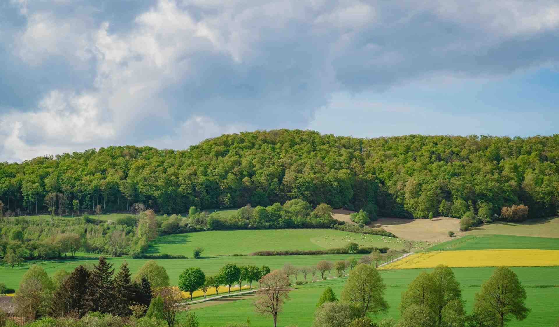 Idyllische Frühlingslandschaft mit sanften Hügeln und grünen Feldern in Niedersachsen, Deutschland.