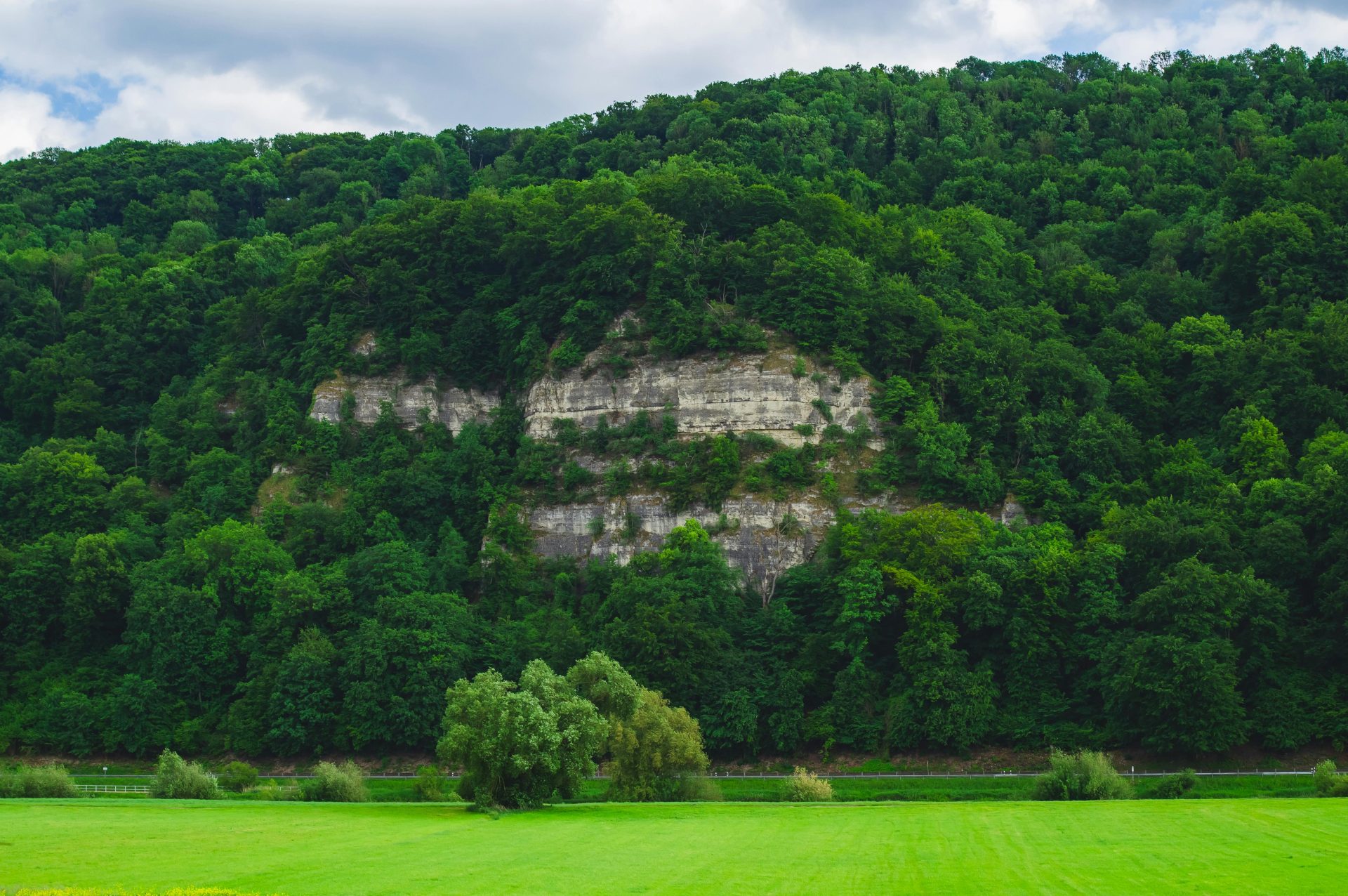 Ein wunderschöner, üppig grüner Wald mit einer markanten Felswand, eingebettet in eine ruhige Naturlandschaft.