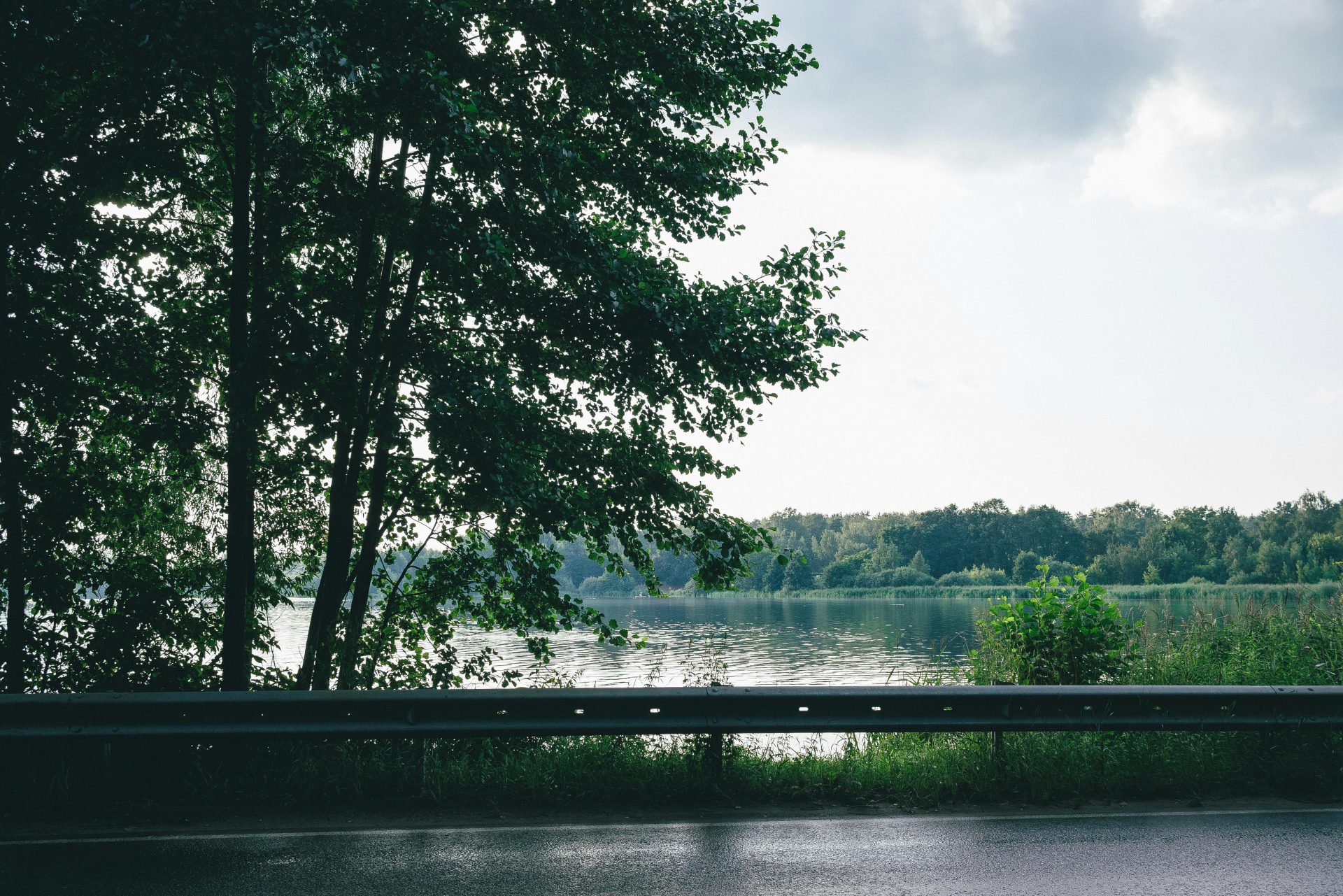 Ein friedlicher Blick auf den See, umgeben von üppigen Bäumen und einer ruhigen Straße, der die Schönheit der Natur einfängt.